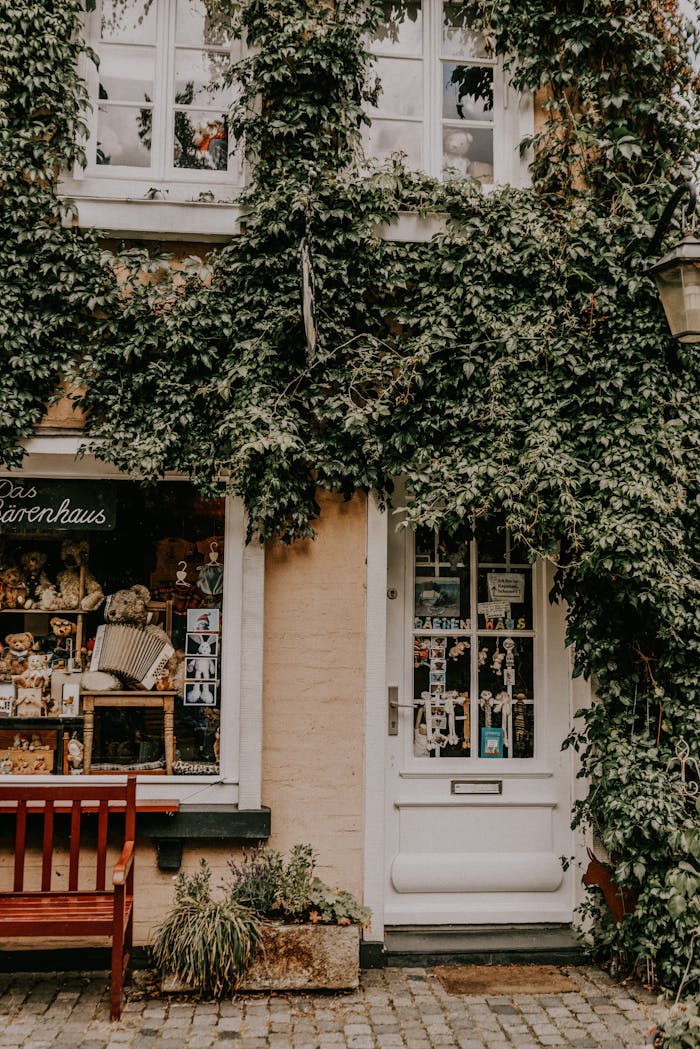 A cozy ivy-clad shopfront with antiques in Bremen, Germany, showcasing rustic charm.